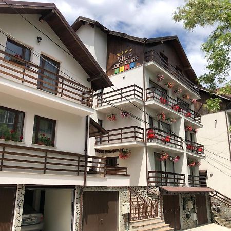 Vila Loft Cube Sinaia Kültér fotó