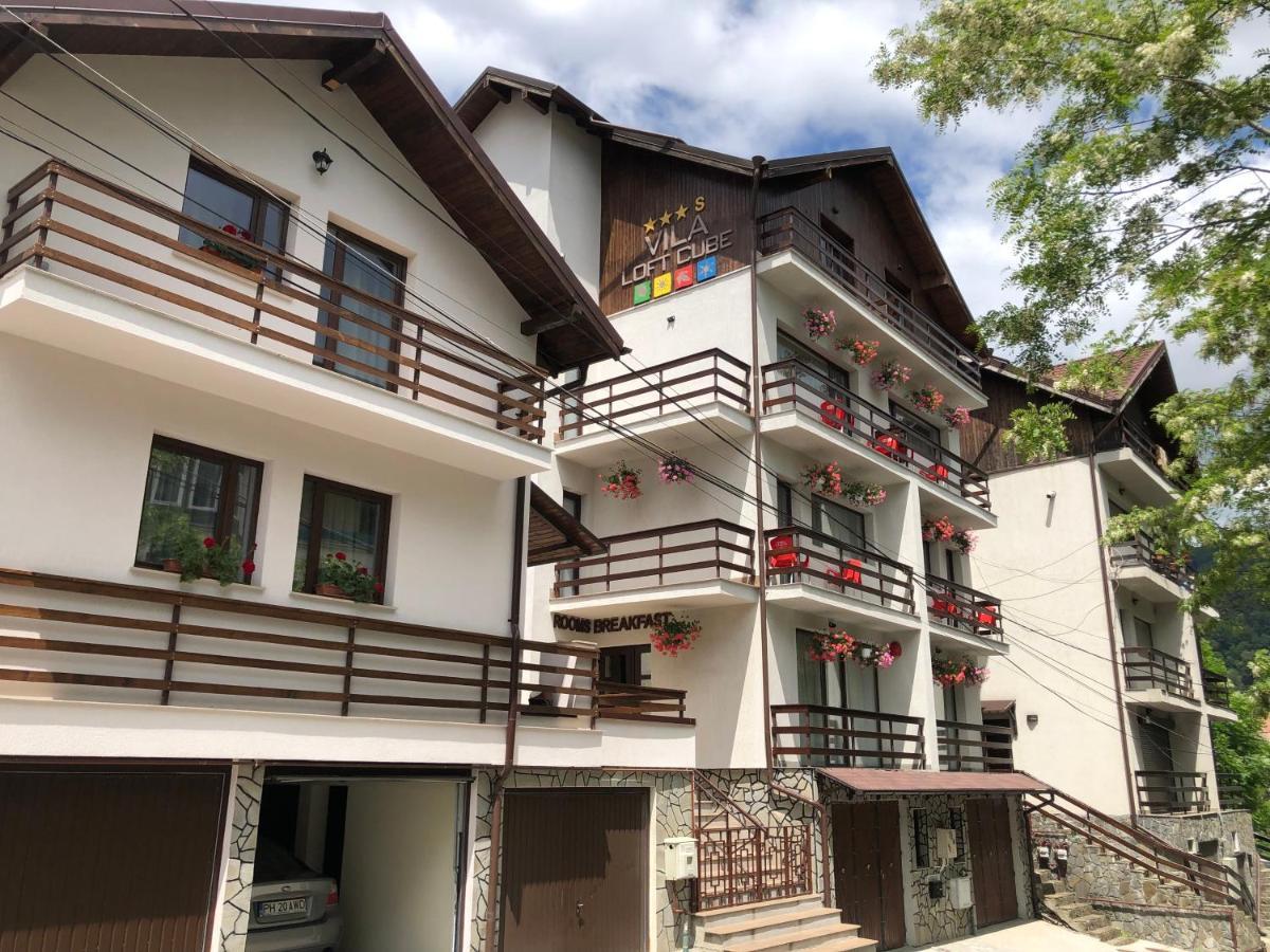 Vila Loft Cube Sinaia Kültér fotó