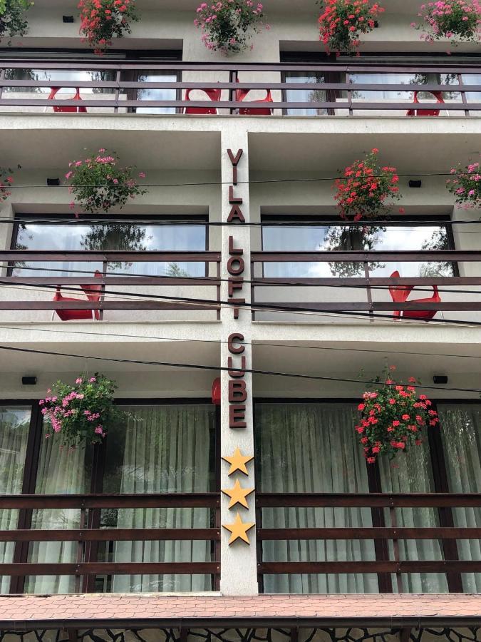 Vila Loft Cube Sinaia Kültér fotó